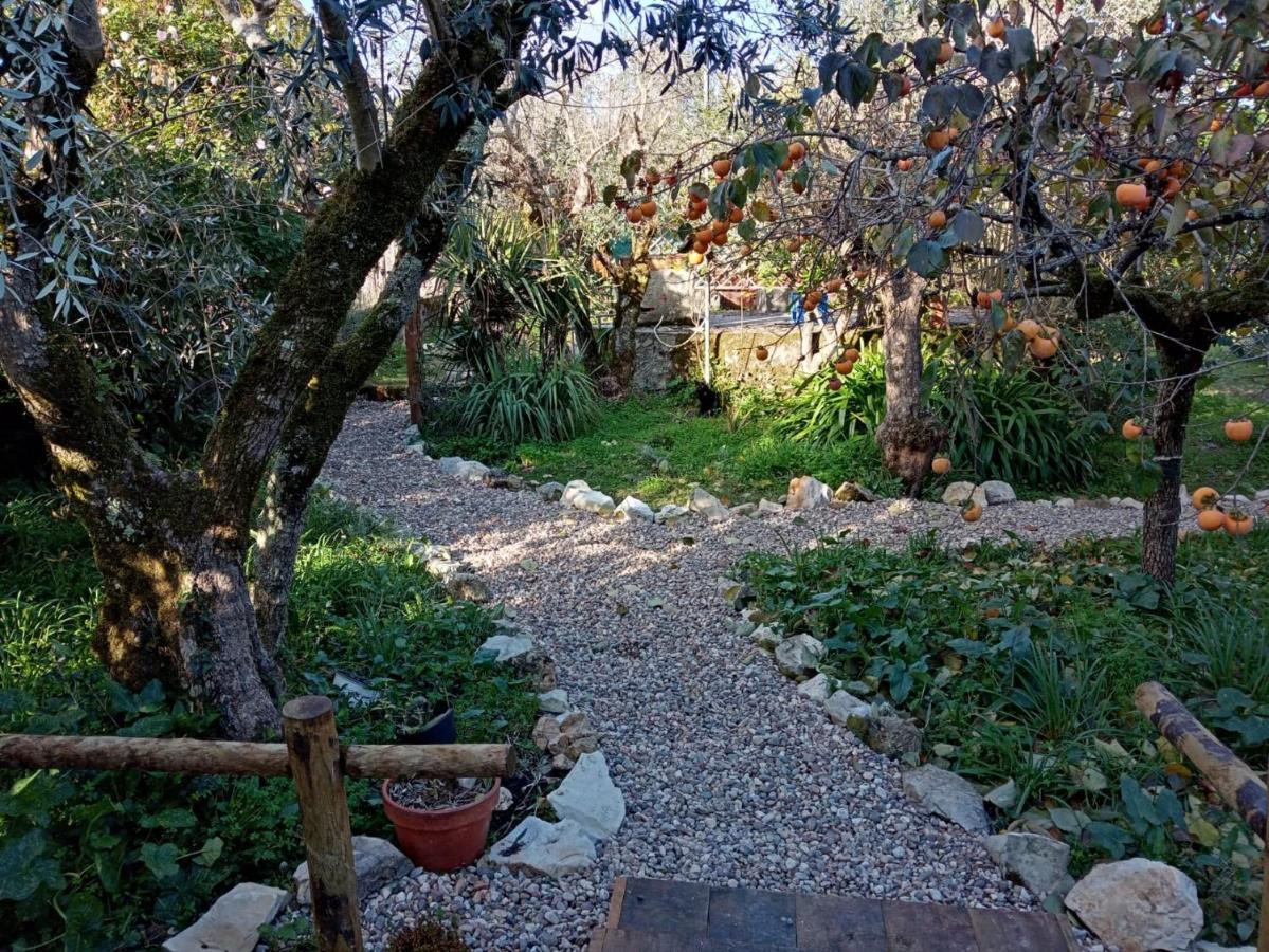 أنسياو Quinta Dos Church المظهر الخارجي الصورة